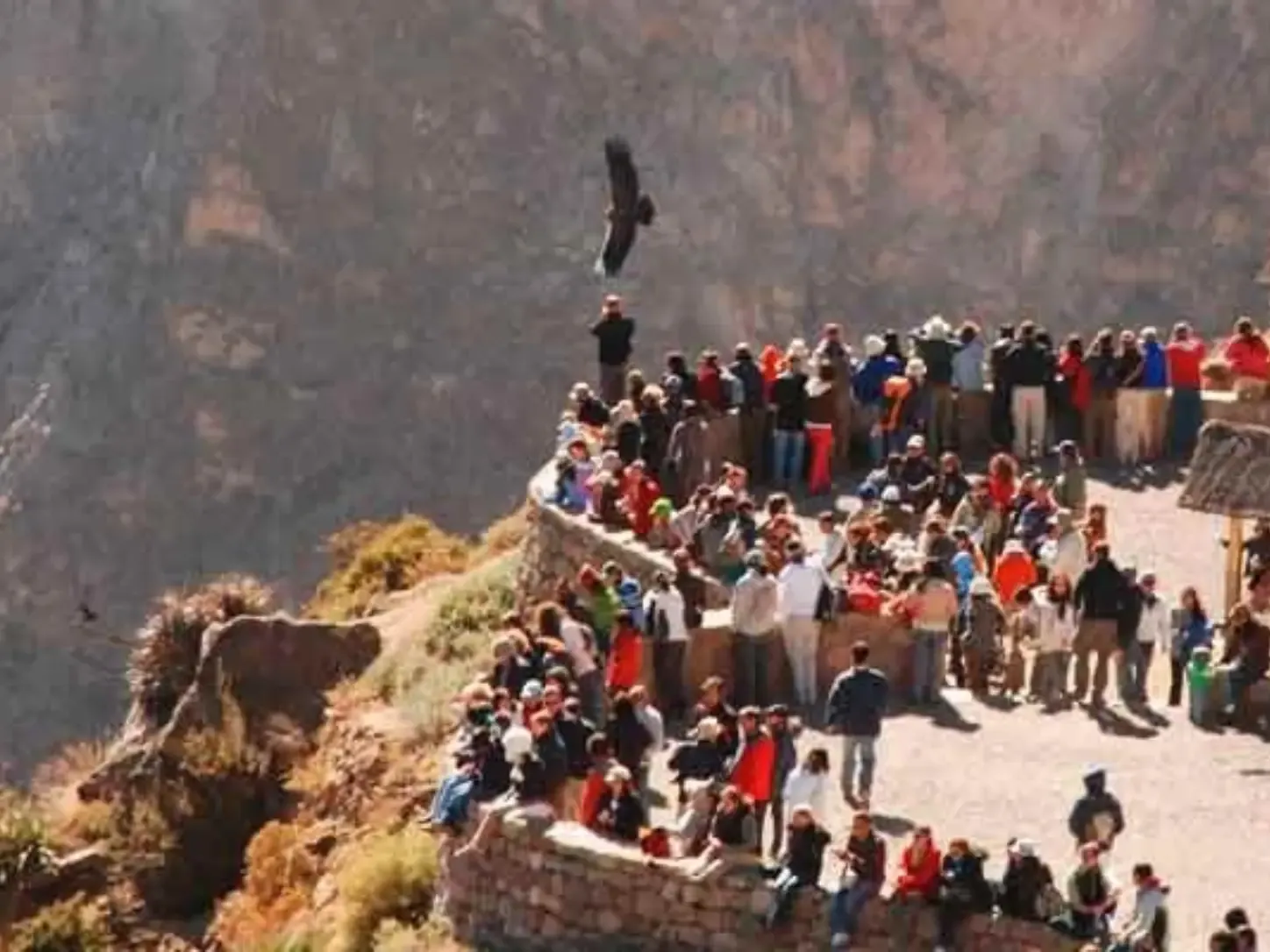 Tour Cañon de Colca